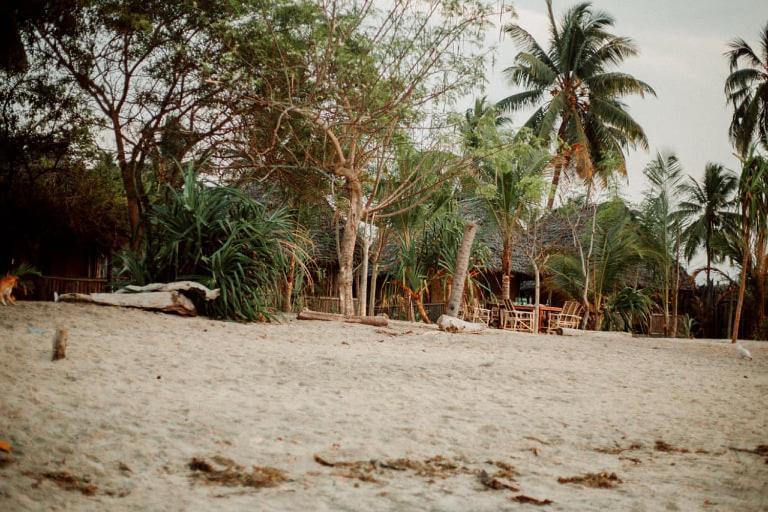 Ushongo Beach Bandas Pangani Extérieur photo