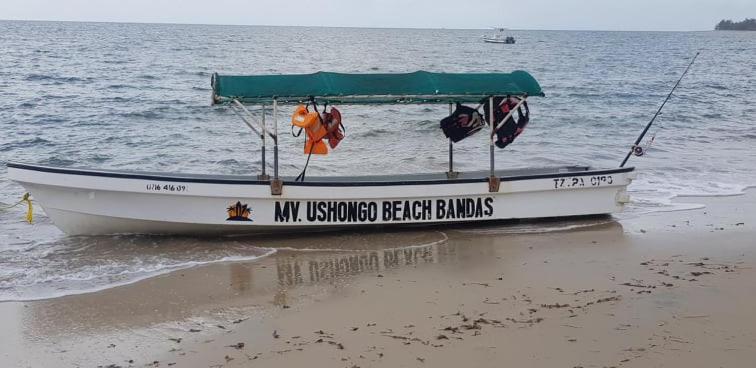 Ushongo Beach Bandas Pangani Extérieur photo