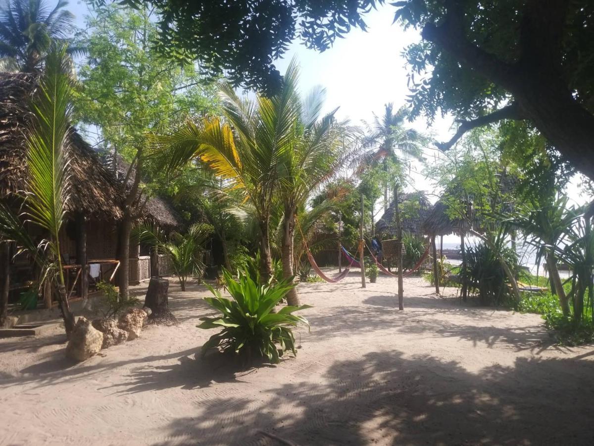 Ushongo Beach Bandas Pangani Extérieur photo