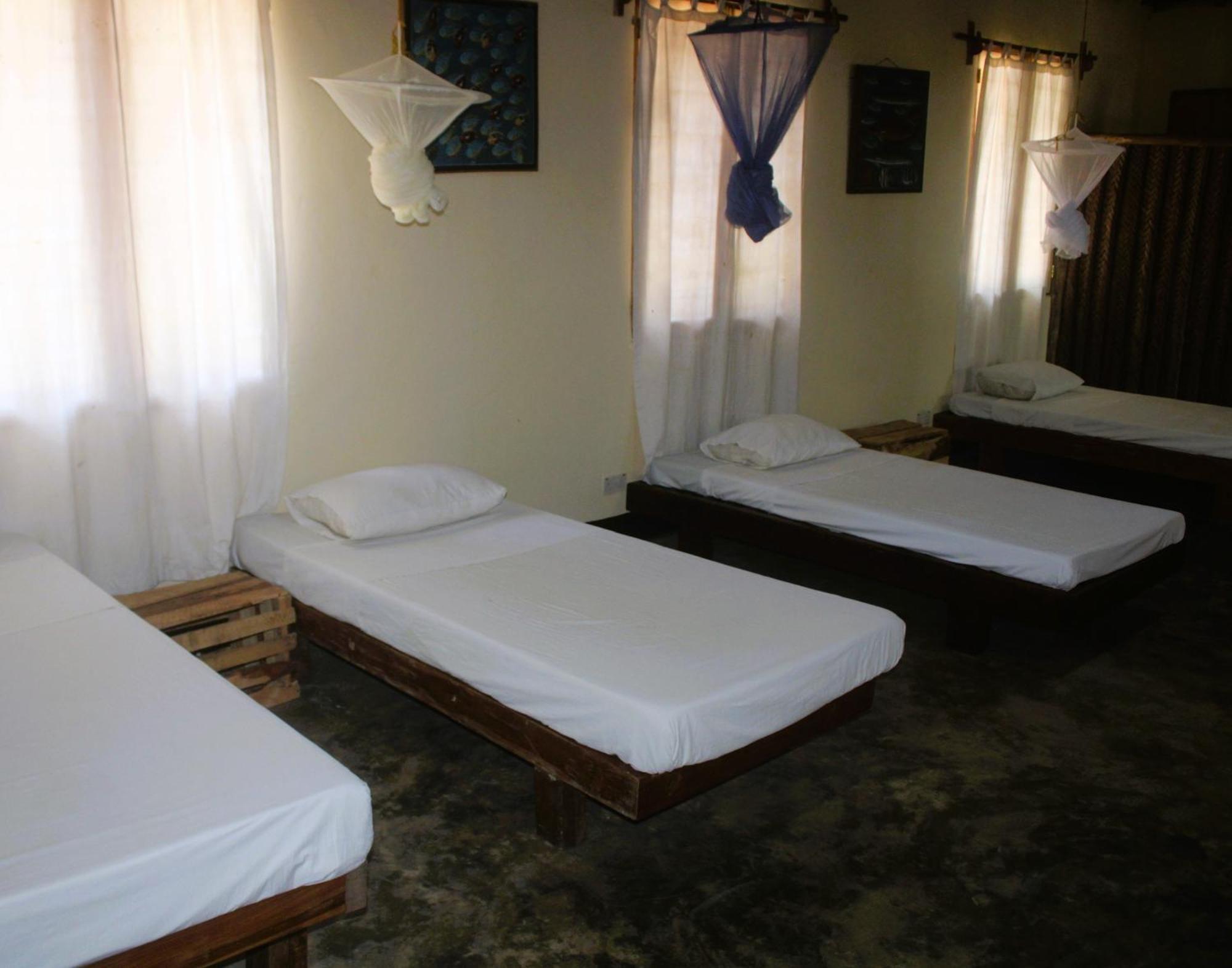 Ushongo Beach Bandas Pangani Extérieur photo